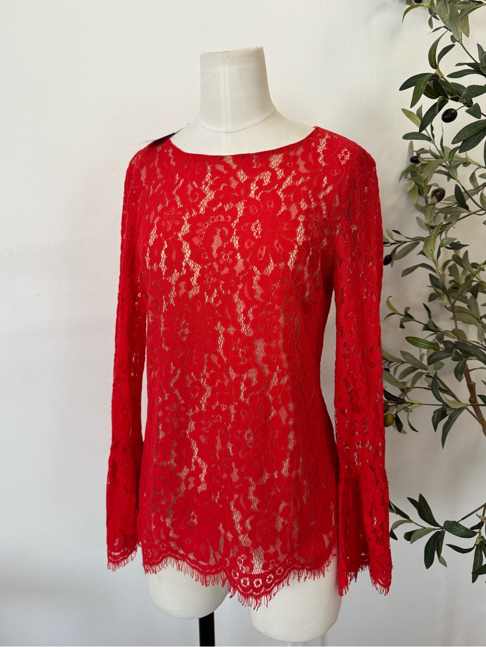 Rose + Olive Red Lace Long Sleeve Blouse XS Floral Sheer Scalloped Eyelash Top N